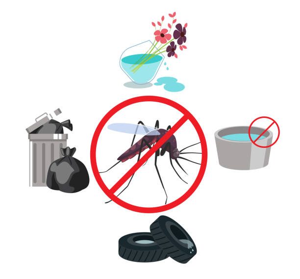 operativo-de-fumigación
dengue
san-pedro