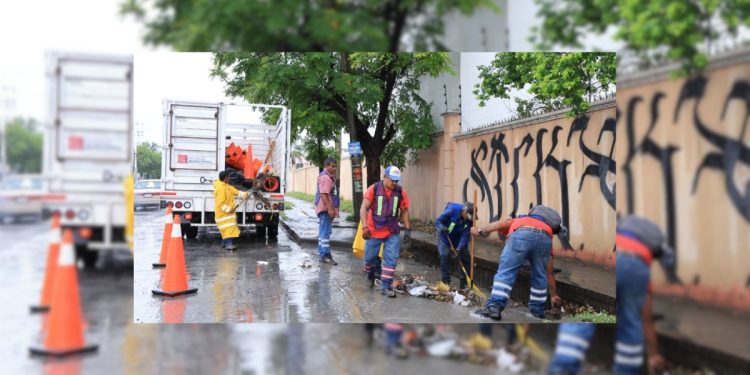 marcelo-segovia-monterrey-limpio-cultura-urbana