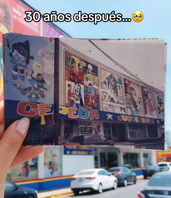 Julio Cepeda Gonzalitos
Complejo
inmobiliario
juguetería