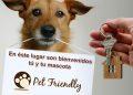 impacto regio pet friendly