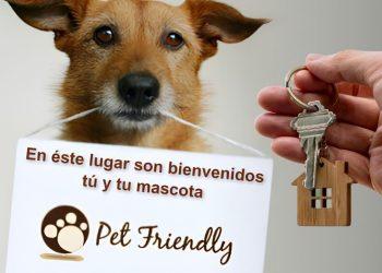 impacto regio pet friendly