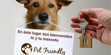impacto regio pet friendly